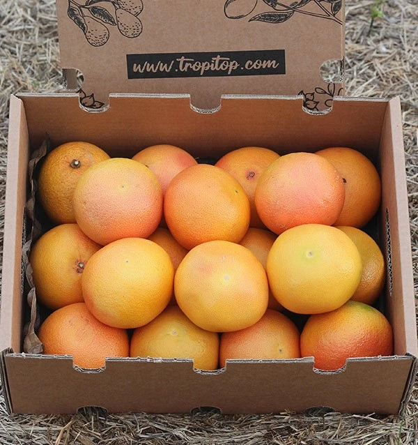 Fresh Grapefruits for Hotels and Restaurants