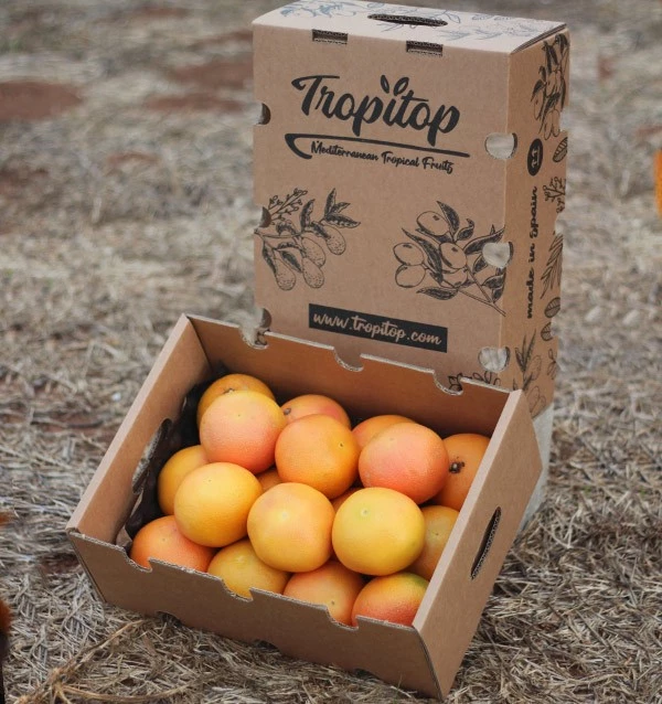 Toranja Fresca para Hotéis e Restaurantes