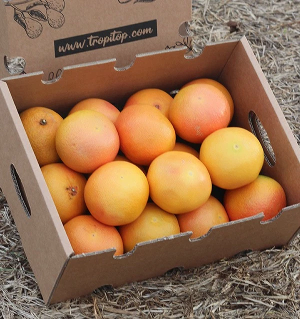 Pomelos Frescos para Hoteles y Restaurantes