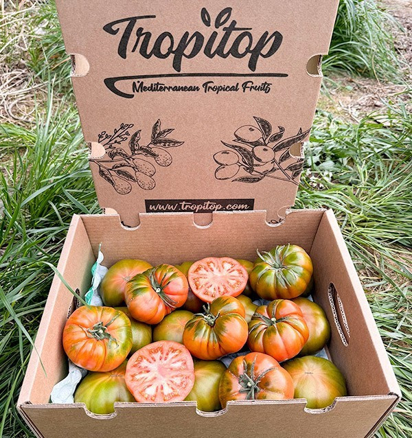 Raf-Tomaten HORECA | Lieferanten für Raf-Tomaten für Hotels und Restaurants