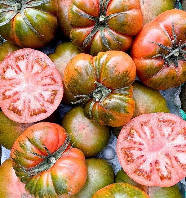 Raf Tomatoes HORECA | Raf Tomato Suppliers for Hotels and Restaurants