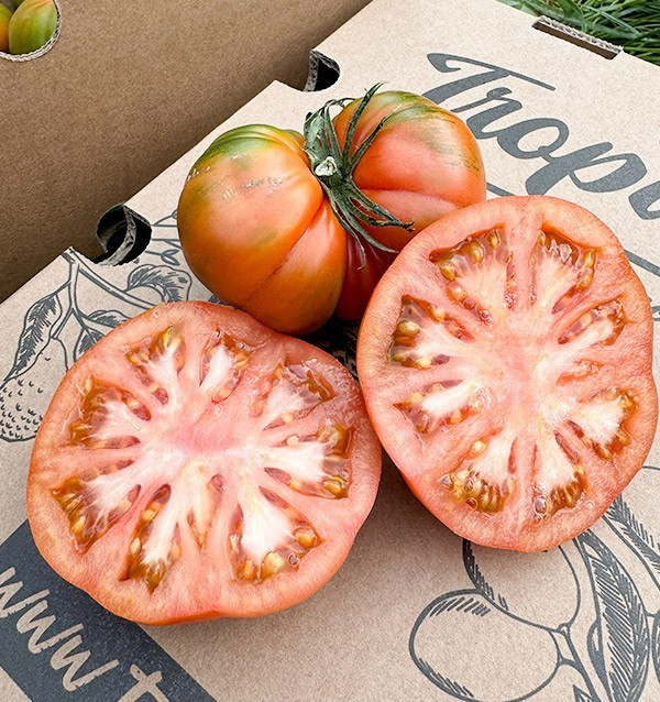Tomates Raf HORECA | Fornecedores de Tomate Raf para Hotéis e Restaurantes
