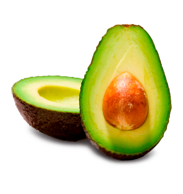 Avocado Hass | Fornitori di avocado per hotel e ristoranti