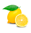 Lemons HORECA | Lemon Suppliers for Hotels and Restaurants