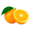 Naranjas Valencianas para Restaurantes y Hoteles | Proveedores Naranja