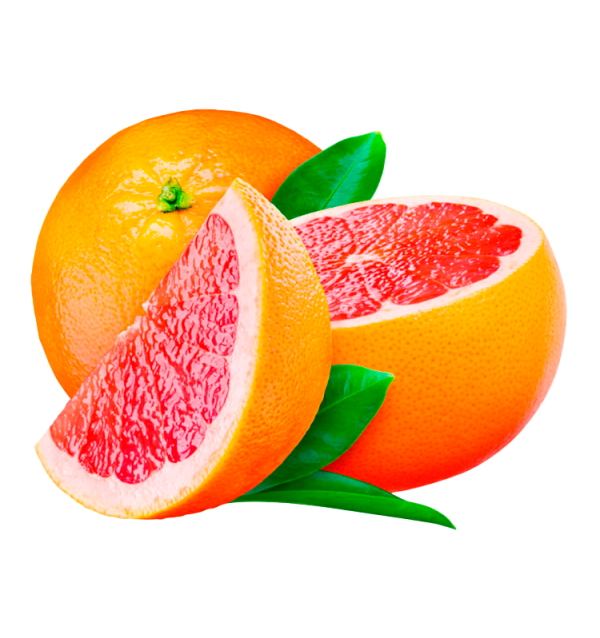 Toranja Fresca para Hotéis e Restaurantes