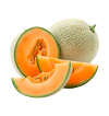 Melón Galia HORECA | Proveedores de Melón para Hoteles y Restaurantes