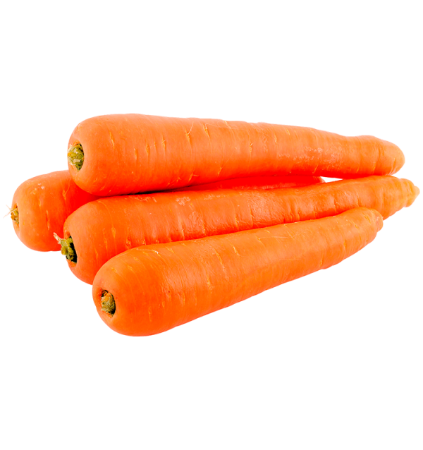 Zanahorias HORECA | Proveedores de Zanahorias para Hoteles y Restaurantes