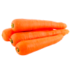 Carrots HORECA | Carrot Suppliers for Hotels and Restaurants