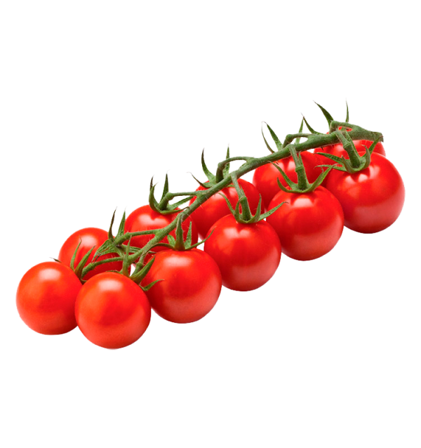 Cherrytomaten HORECA | Cherrytomaten-Lieferanten für Hotels und Restaurants
