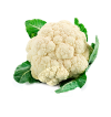 Cauliflower HORECA | Cauliflower Suppliers for Hotels and Restaurants