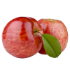 Apples HORECA | Apple Suppliers for Hotels and Restaurants
