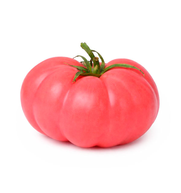 Pomodoro Rosa HORECA | Fornitori di Pomodoro Rosa per Hotel e Ristoranti