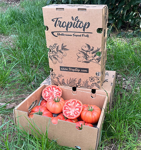 Pomodoro Rosa HORECA | Fornitori di Pomodoro Rosa per Hotel e Ristoranti