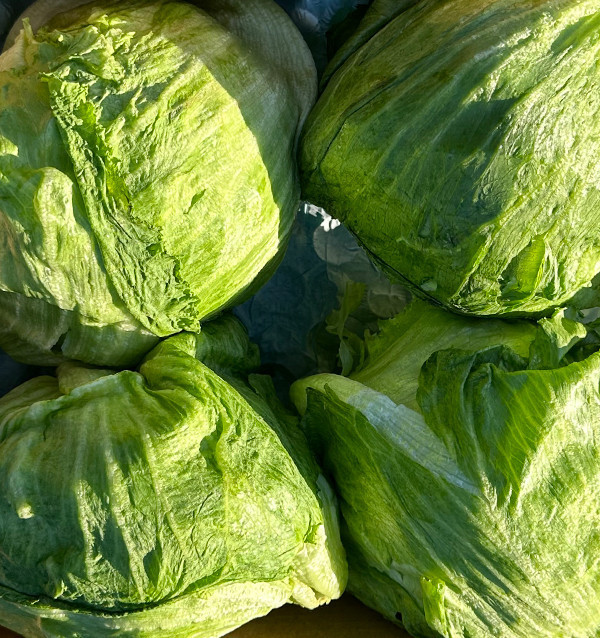 Eisbergsalat HORECA | Lieferanten von Eisbergsalat für Hotels und Restaurants