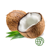Coco HORECA | Proveedores de Coco para Hoteles y Restaurantes