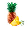 Piña HORECA | Proveedores de Piña para Hoteles y Restaurantes