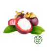 Mangosteen HORECA | Mangosteen Suppliers for Hotels and Restaurants